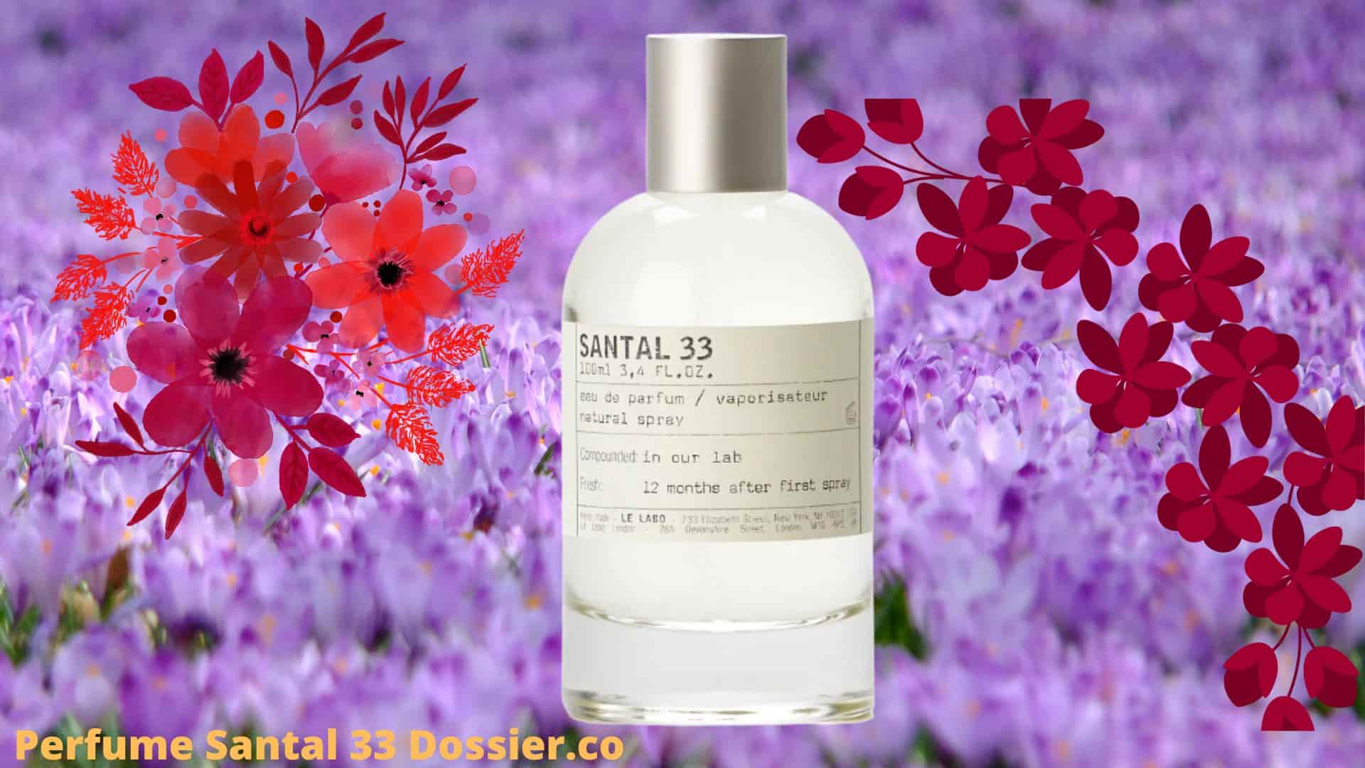 A Great Perfume Santal 33 Dossier co/ Review about perfume